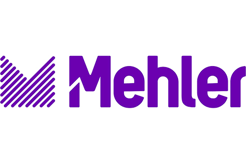 Mehler Engineered Products India Pvt Ltd